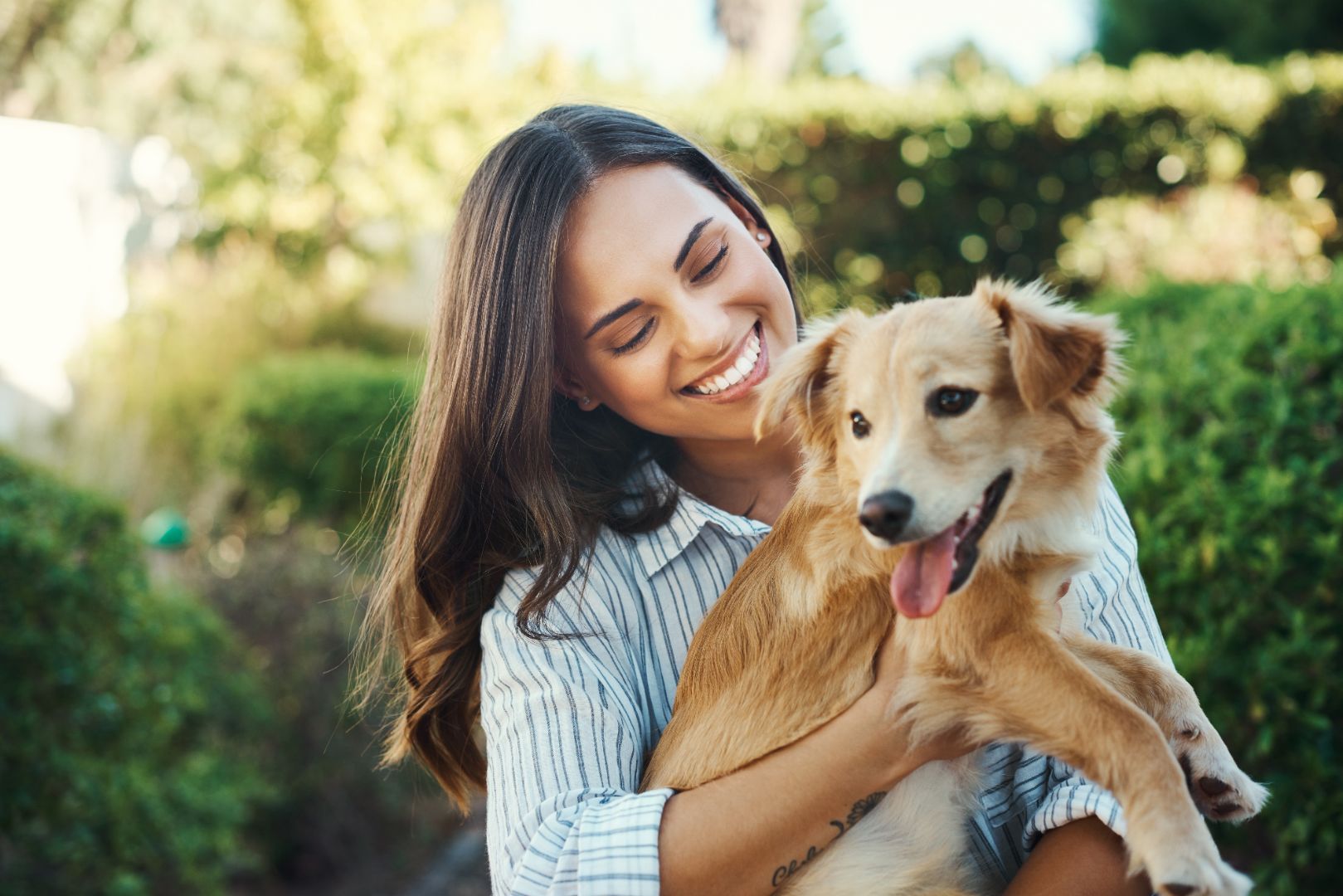 Orthodontic Health and Overall Wellness in Walnut Creek, CA